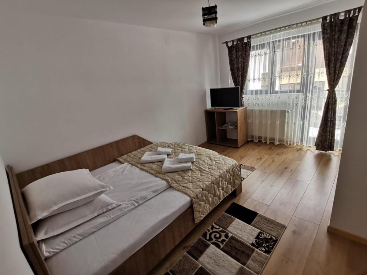 Отель Casa Dana Olteanu Моечиу-де-Сус Экстерьер фото