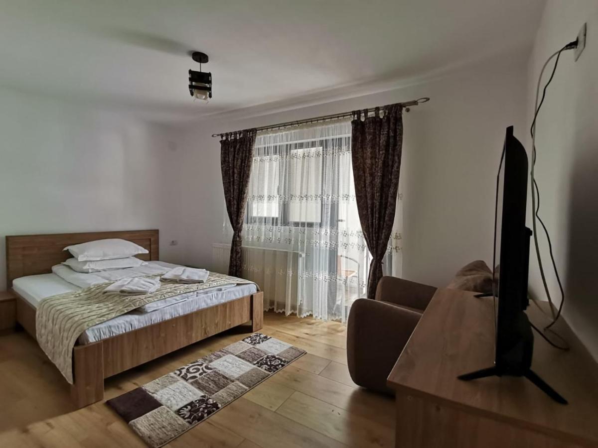 Отель Casa Dana Olteanu Моечиу-де-Сус Экстерьер фото