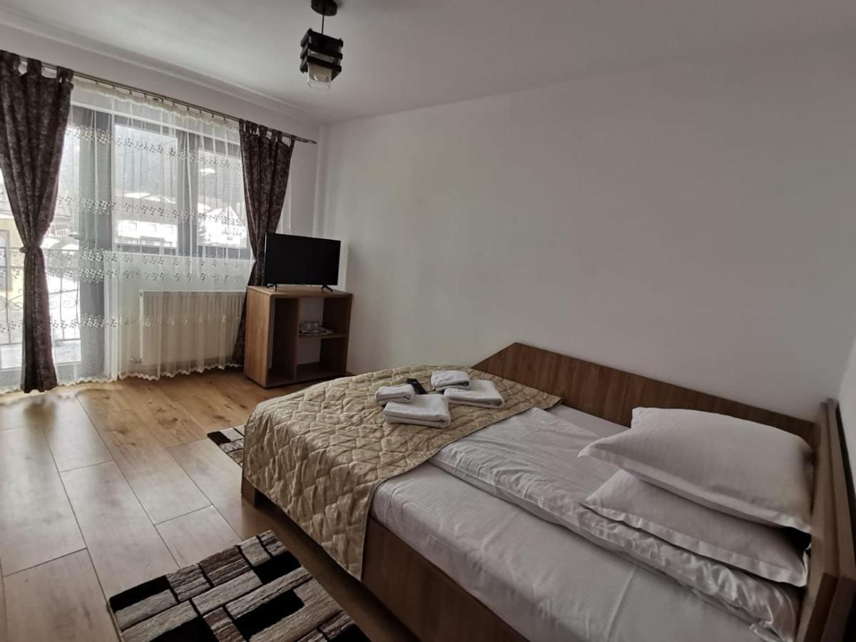 Отель Casa Dana Olteanu Моечиу-де-Сус Экстерьер фото