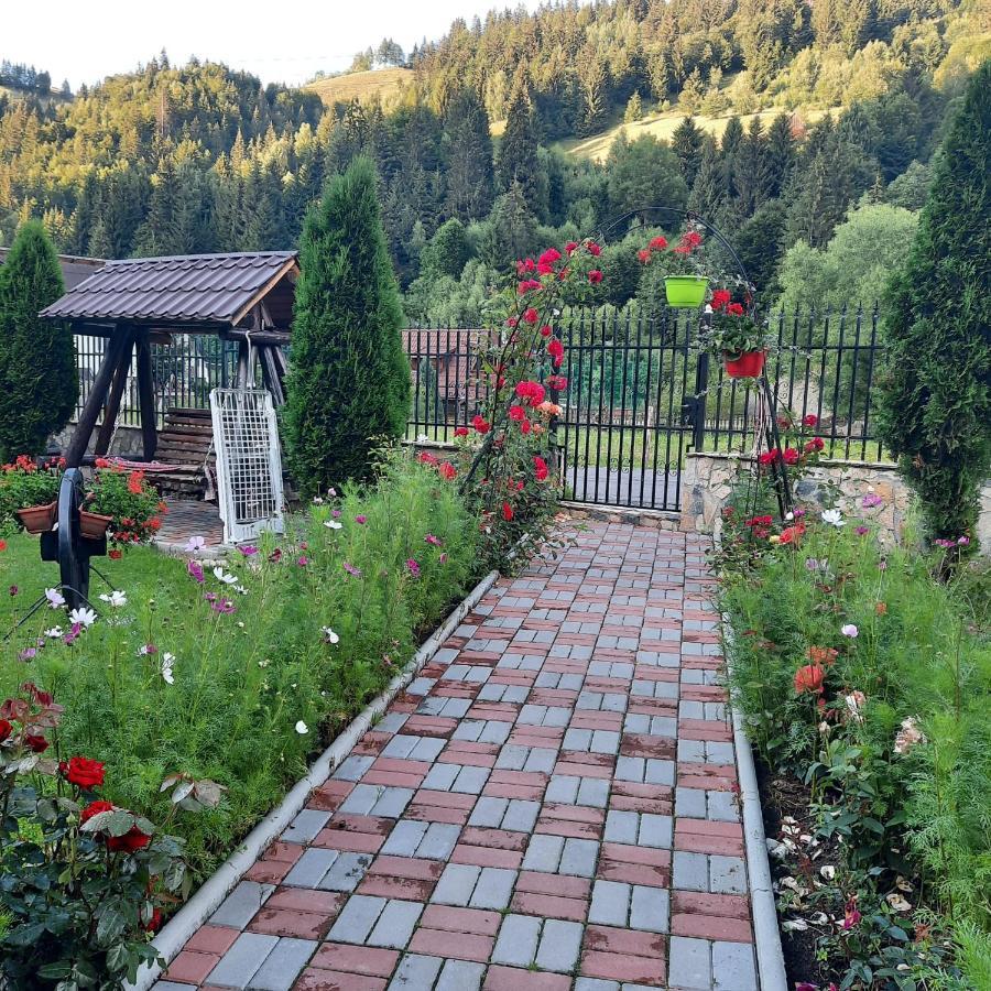 Отель Casa Dana Olteanu Моечиу-де-Сус Экстерьер фото
